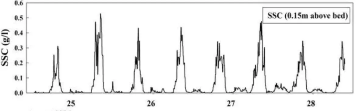 Fig. 7 Time series of suspended sediment concentration at GS2 (from Lee, 2010)
