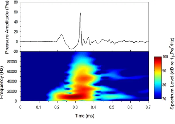 Figure 6. (a)Typical temporal waveform and (b)spectrogram of a representative                        snapping shrimp sound observed in the coastal sea of Korea.