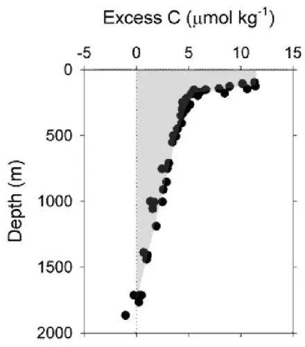 그림 4-1-10. 13년 (1999-2012) 동안 흡수된 대기 이산화탄소의 수직분포도 