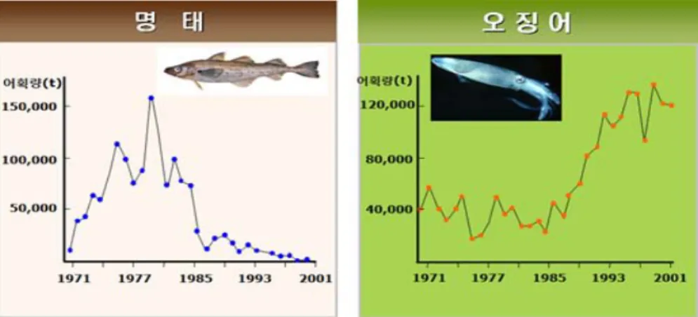 그림  1-35.  우리나라  연근해의  어획량  변화의  대표적인  어종  (1971-2001)