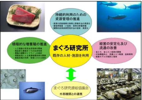 그림  2. 일본 다랑어 연구소의 연구 추진체계