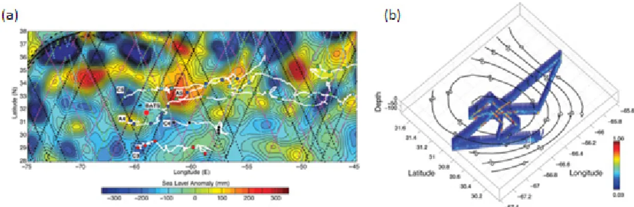 [그림 4-3-1] (a) 인공위성 해표면 고도 자료에서 나타난 mesoscale eddy의 위치 추적  결과  (b) warm eddy 의 변동과 관련되어 관측된 식물플랑크톤 번성 
