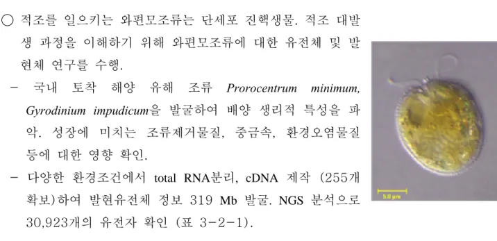 표  3-2-1.  GS-FLX  Titanium를  이용하여  Prorocentrum  minimum,  Gyrodinium  impudicum 의  cDNA로부터  발굴한  발현유전체  염기서열.