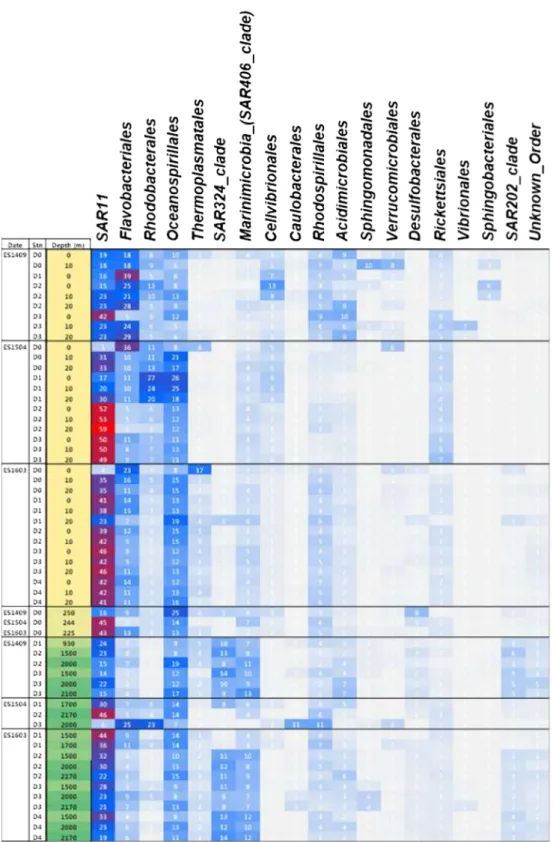 [그림  139].  Heatmap  showing  the  relative  percentages  of  sequences  belonging  to  each  order