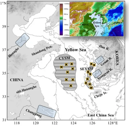Figure 1. Map of the study area including the sediment sampling  areas (shaded) in Chinese (Huanghe and Changjiang) and Korean  (Geum and Yeongsan Rivers) rivers and sampling sites (x marks) in  the shelf-mud patches (CYSM: Central Yellow Sea Mud, SEYSM: 