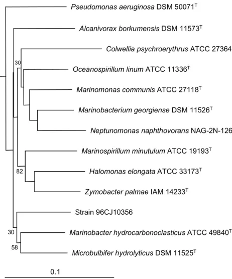 Fig.  3-5-1.  Neighbor-joining  tree  based  on  nearly  complete  16S  rDNA                       sequences  showing  relationships  between  strain  96CJ10356  and                       members  of  the  gamma  Proteobacteria .