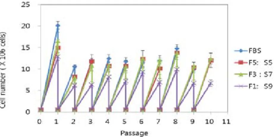 [그림 2-66] SACCS(0.5x) 활용 배양된 T24의 세포 증식율 