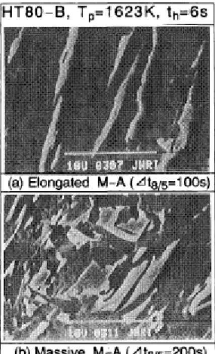 Fig. 2-7. Examples of morphology of elongated M-A constituent and massive M-A constituent  [29] 