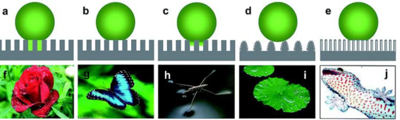 Figure 3. Five typical cases for anti-wetting surfaces (a: Wenzel state; b: Cassie state; c: 