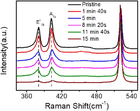 그림 9. MoS 2 의 Raman spectrum 