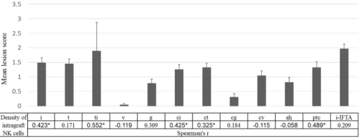 Figure 5. Association between the density of infiltration NK cells and histologic lesions