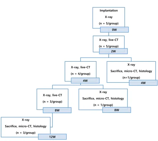 Table 1. Surgical procedure information. 