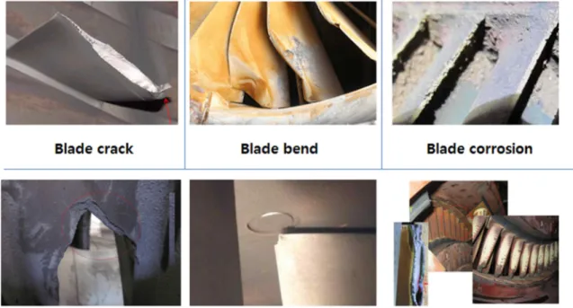 Figure 4 Damage Types of Actual Blade 