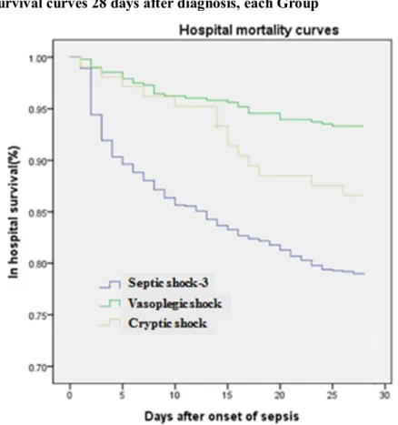 Figure 2. Survival curves 28 days after diagnosis, each Group