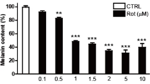 그림 2-3. Mel-ab  세포에서 rottlerin의 농도에 따른 멜라닌 함량 감소