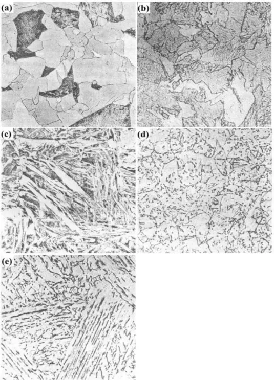 Fig. 2-8 Ferritic microstructure; (a) polygonal ferrite, (b) quasi-polygonal ferrite, (c)  Widmanstätten ferrite, (d) granular bainitic ferrite, and (e) bainitic ferrite[22] 