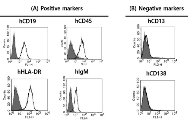 Figure 2. Characterization of major surface marker in mantle cell lymphoma cell  line.