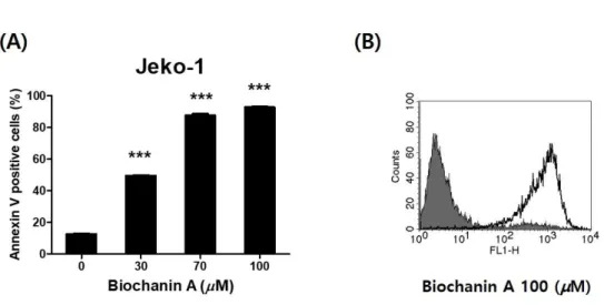 Figure 7. Biochanin A-induced cell apoptosis.