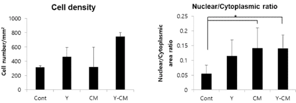 Figure 5. Cell density and size graph of RCECs cultured with or without  ROCK inhibitor and conditioned medium