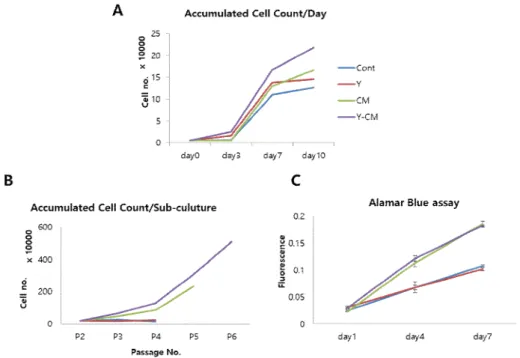 Figure 6. Proliferation of RCECs with or without ROCK inhibitor and 