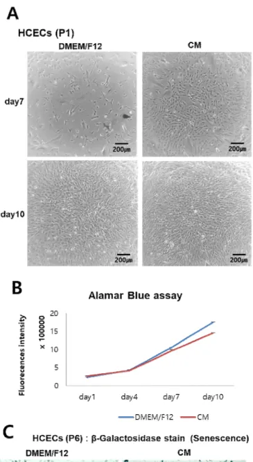 Figure 19. Effect of  hMSC-conditioned  media on  HCECs. Comparison  of  control (DMEM/F12) and MSC-CM treat (CM)