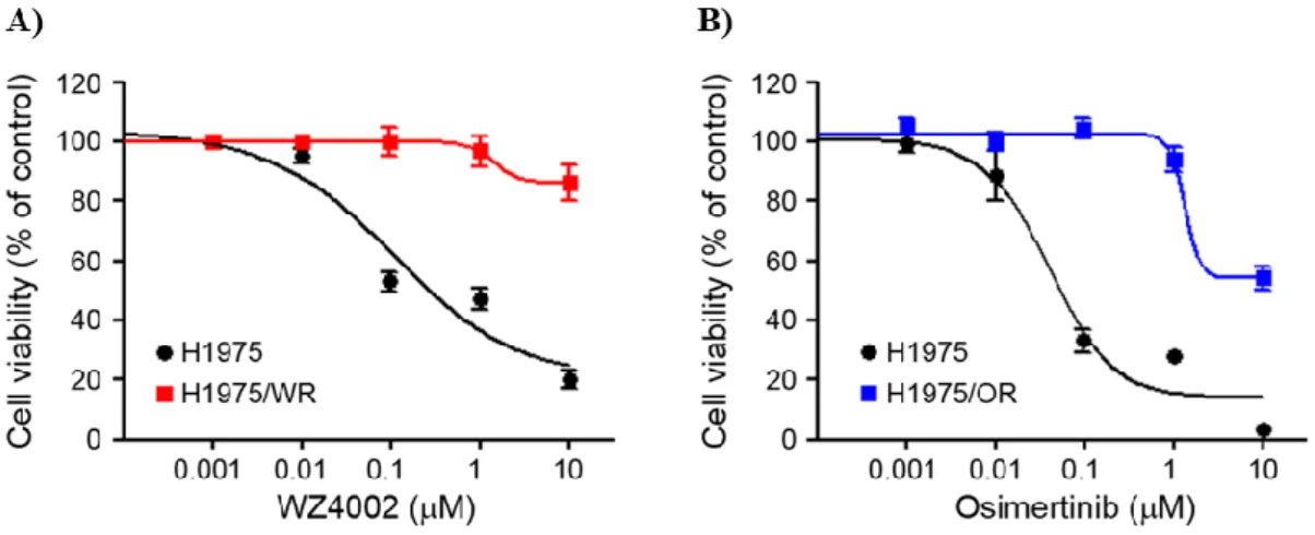 Figure 1. Establishment of the 3 rd  generation EGFR-TKI resistance cell line  