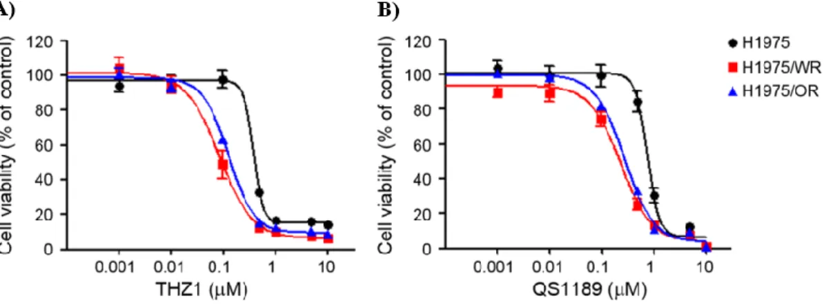 Figure 5. Effect of CDK7 inhibitors on the EMT induced EGFR-TKI resistance  cell lines  