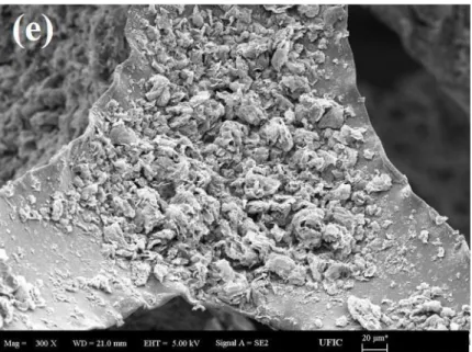 Figure  2.  SEM  images  of  flexible  polyurethane  foam  coated  with  graphene/PVC  mixture;  (a)  pristine  FPU,  (b)  FPU-4.49-25/75,  (c)  FPU-6.23-50/50, 