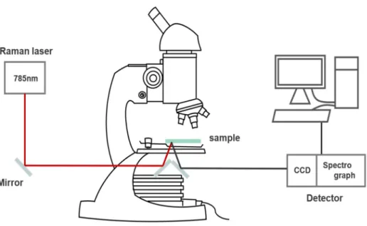 Figure  1.  A  photograph  of  experimental  set-up  for  Raman  spectroscope  and  microscope