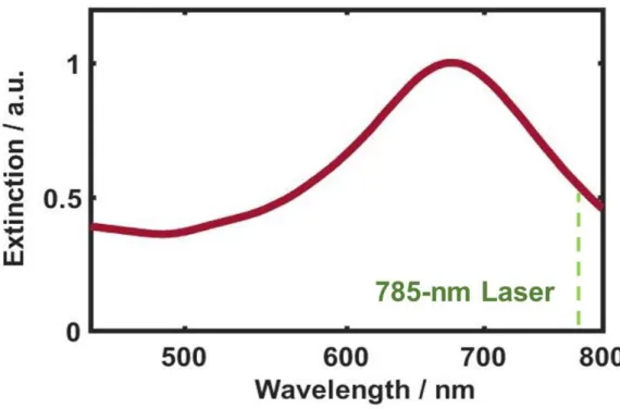 Figure  3. UV–Vis  extinction  spectrum  of  AuNUs.  The  dotted-line  indicates  the  wavelength of the incident radiation, 785 nm