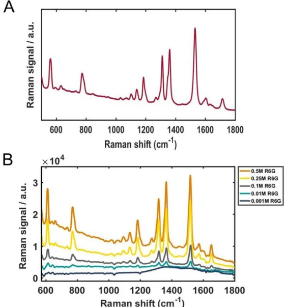 Figure  4. Raman  spectrum  of  solid  R6G  (A),  normal  Raman  spectra  of  R6G  solutions at diverse concentrations from 1 mM to 0.5 M (B)