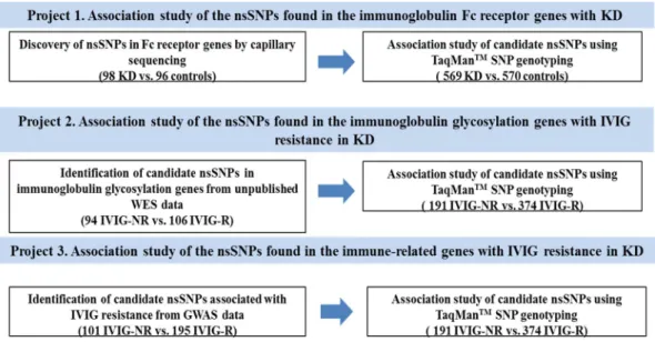 Figure 1. Overall workflow of this study. Part 1 is association study of the nonsynonymous  SNPs (nsSNPs) in the immunoglobulin Fc receptor genes with KD