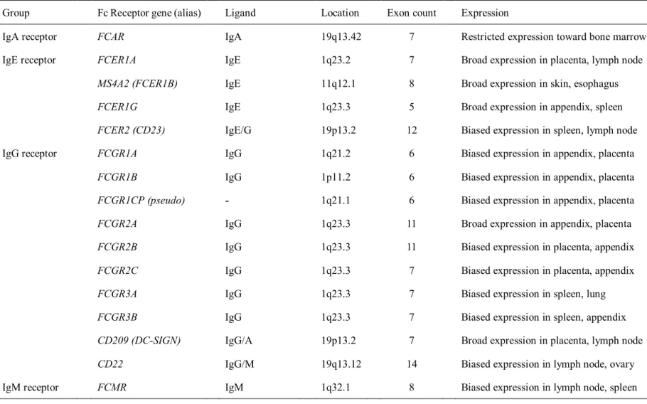 Table 2. The classification of the human Fc receptor genes