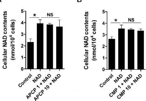 Figure  4.  Effects  of  NAD  alone  or  with  CD73  inhibitors  APCP  and  CMP  on  N1  cell  NAD  contents