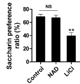 Figure 9. Conditioned taste aversion test. Effect of ICV injection of  NAD (0.7 ng) or  IP  injection  of  lithium  chloride  (200  mg/kg)  on  saccharin  preference  ratio  (n  =  8)