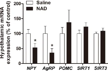 Figure  19.  Effect  of  ICV  injection  of  NAD  on  the  mRNA  expression  levels  of  appetite  regulating  neuropeptides  and  sirtuins  in  the  hypothalamic  ARC