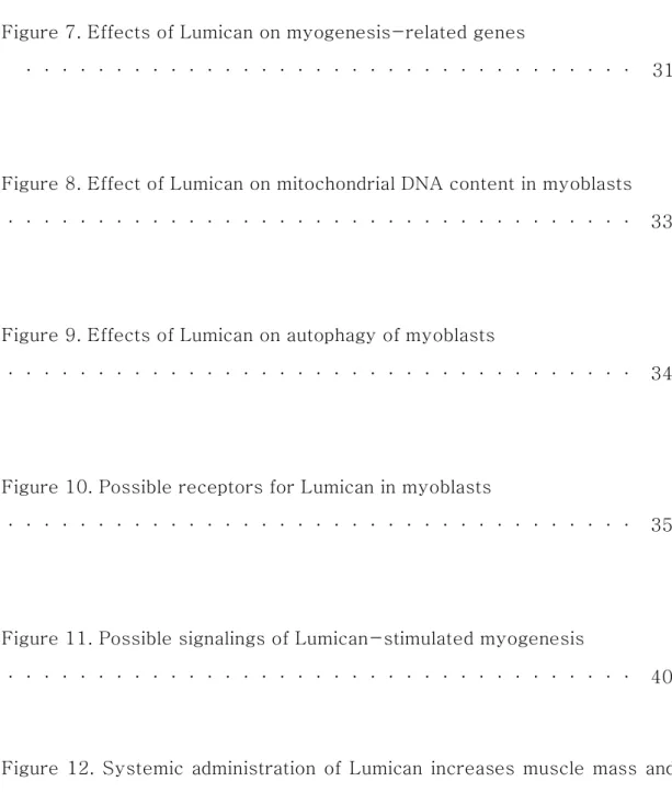 Figure 7. Effects of Lumican on myogenesis-related genes