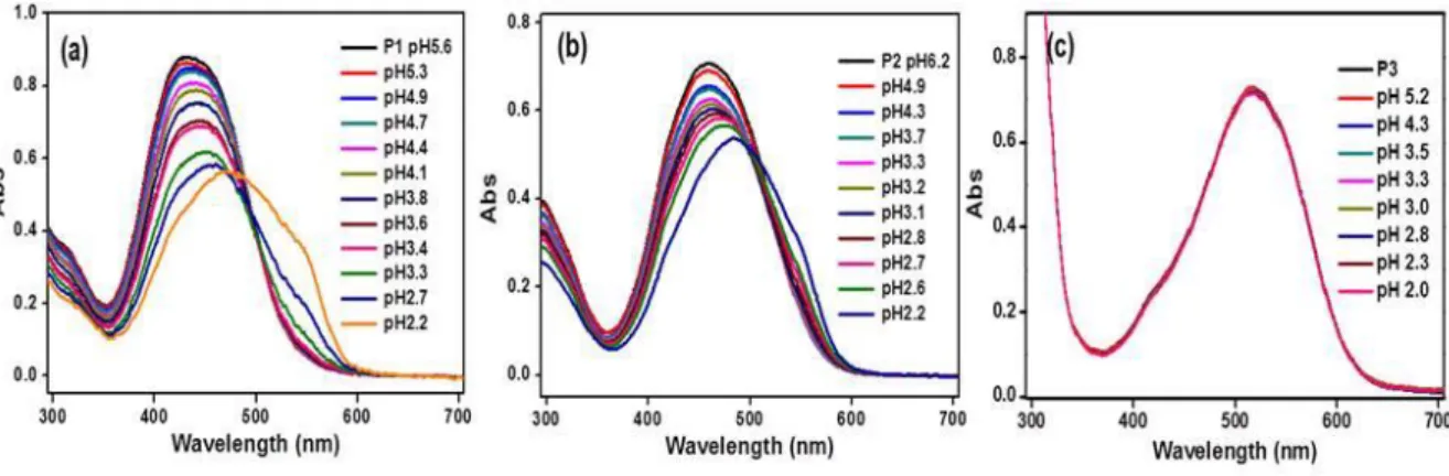 Figure 11  Change in the UV-Vis absorption spectra of the aqueous solution of (a) P1, (b) P2,  and (c) P3 following the continuous variation of the solution’s pH