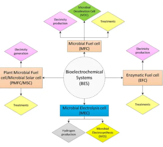 Fig 2.5 Schematic overview of various types of bioelectrochemical systems (BESs)(Neethirajan et al., 2018)