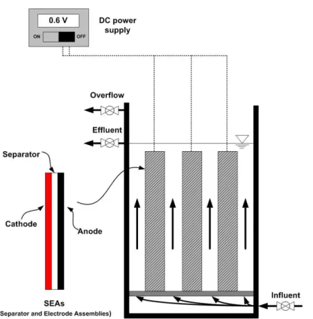Fig 3.1 Schematic diagram of the upflow bioelectrochemical reactor