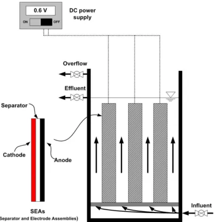 Fig 4.1 Schematic diagram of the upflow bioelectrochemical reactor