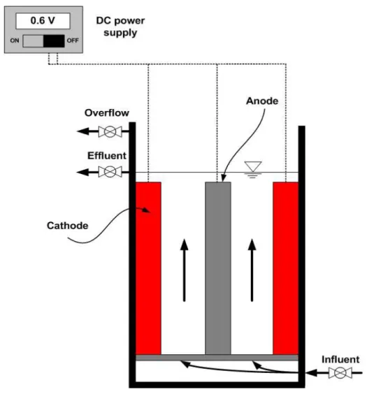 Fig 5.1 Schematic diagram of the upflow bioelectrochemical reactor