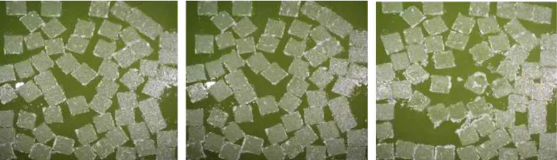 Fig. 8 Pack ice image planned with 60% concentration  (Cho, et al., 2013)