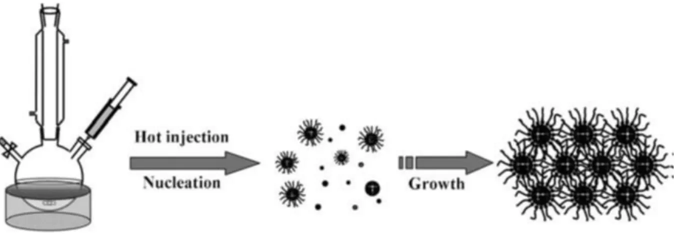Figure  1.2.  Hot-injection  method  for  the  synthesis  of  monodisperse  nanoparticles