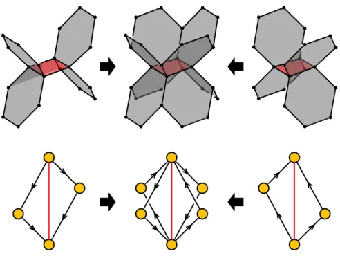 Figure 8. The four plaquettes corresponding to a Fermi field face in brane brick models for C 4 and its orbifolds.