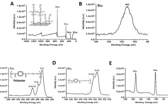 Figure 4. (A) XPS analysis of the GLYMO - treated PETE membrane. (B) The SiC bond is derived  from the GLYMO molecules