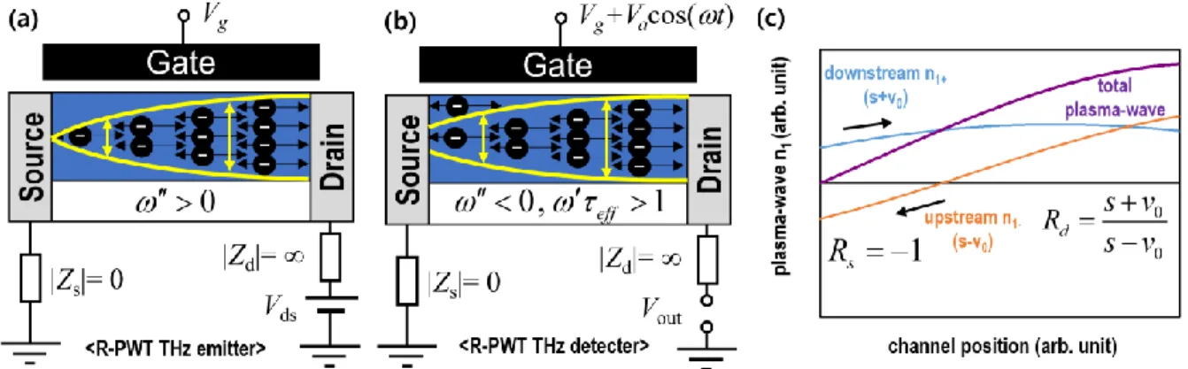 Figure  2-1.  Schematic views of  (a)  R-PWT THz  emitter and (b) THz detector assuming ideal  boundary conditions