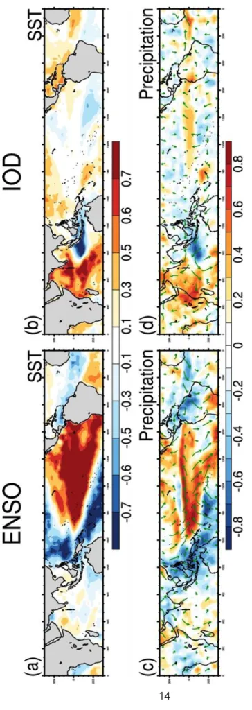 Fig. 10. Partial regression of SST (top panel) and precipitation (bottom panel) on the ONI (left) and DMI (right)