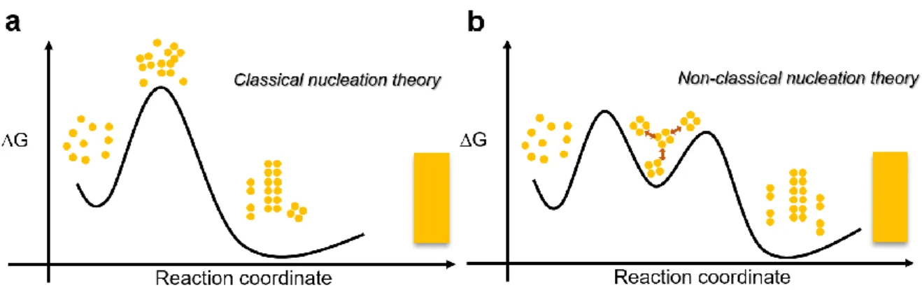 Figure 1.2  Schematic representation of mechanisms for (a) classical nucleation theory and (b) non- non-classical nucleation theory