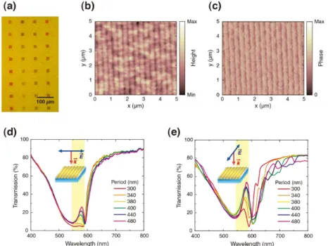 Figure 5.4 Electron-beam-induced nanoscale patterning and polarization-dependent optical spectra